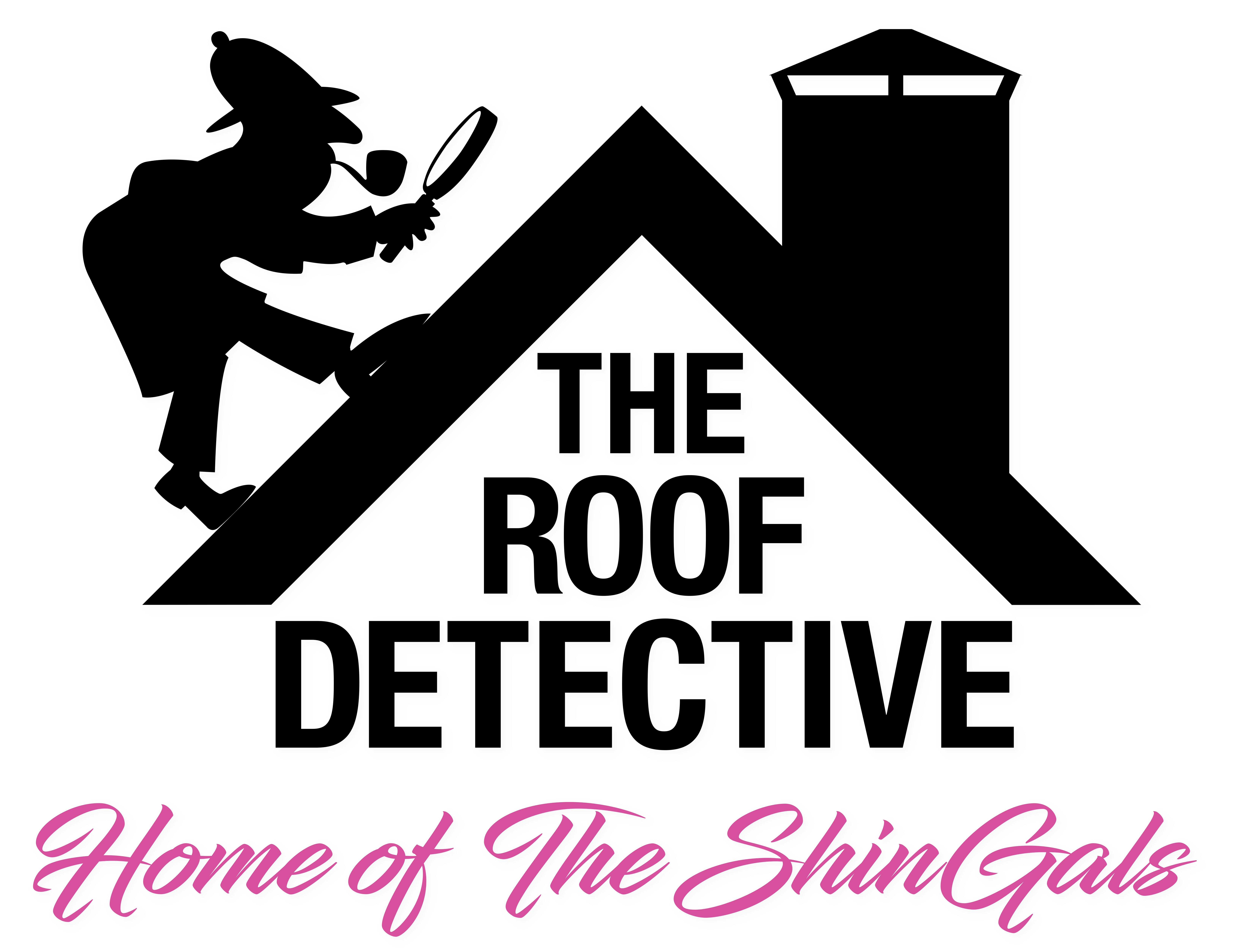 logo of Dominic Fritsche